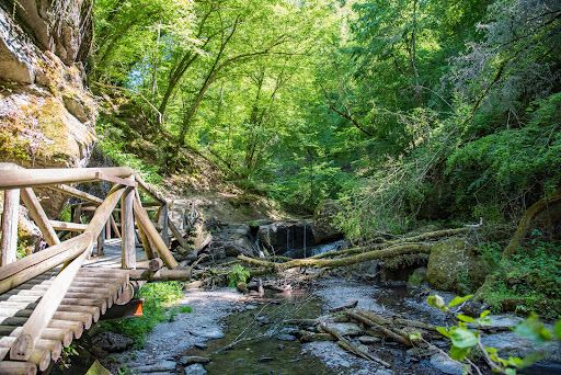 Traumschleife „Ehrbachklamm“