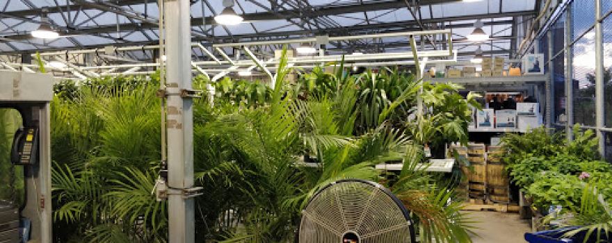 Lowe's Garden Center
