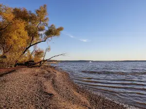 Wright Patman Lake