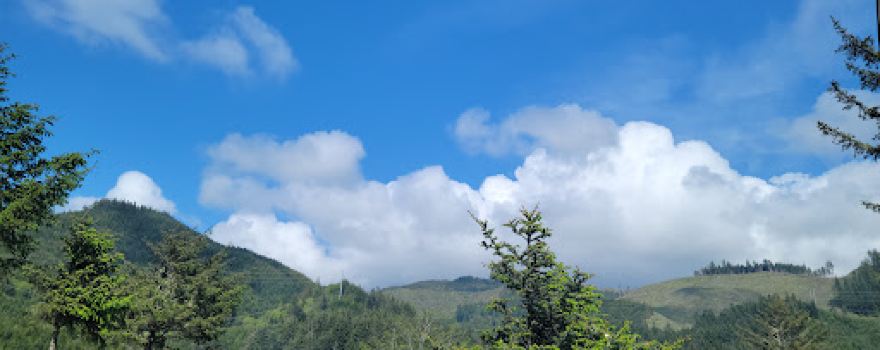 Turtle Rock RV Resort