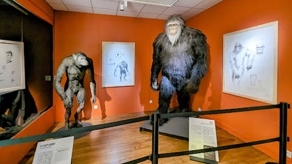 Musée d'Histoire Naturelle