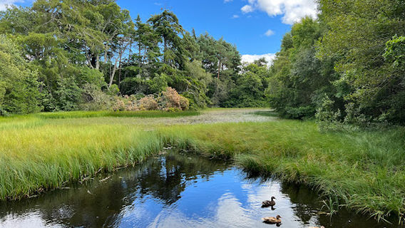 Golspie Burn Waterfall & Gorge