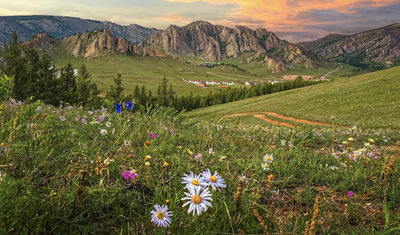 Mongolian Horse riding center