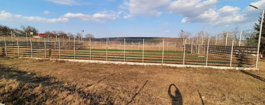 Stadion Sadova