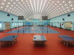 PSMTI INHIL