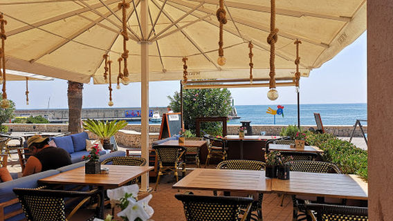 Fish Spa And Wellness S L
