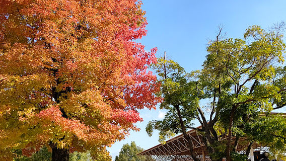 Mizushima Central Park