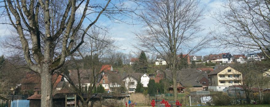 Skatepark Laufach