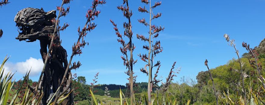 Raurimu Spiral Lookout