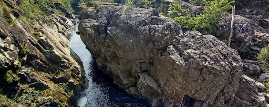 Saut de la Saule