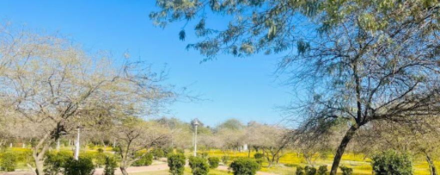 Fahaheel Park