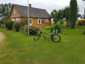 Vidzemnieki