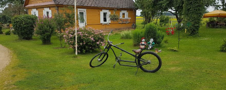 Vidzemnieki