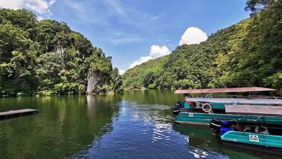 Gunung Lang Limestone Wall