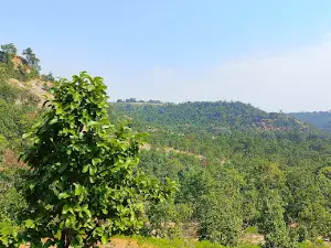 View point tamiya