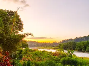 Graceland Nature Park