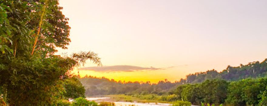 Graceland Nature Park