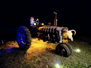 Markoff's Haunted Forest