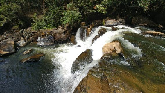 Mookanamane Abbi Falls
