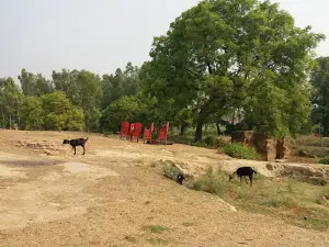 The Fort of Raja Lone Singh of Mitauli India
