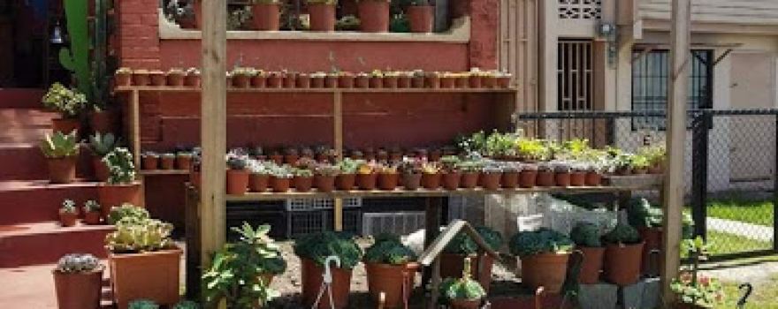 Samy Garden