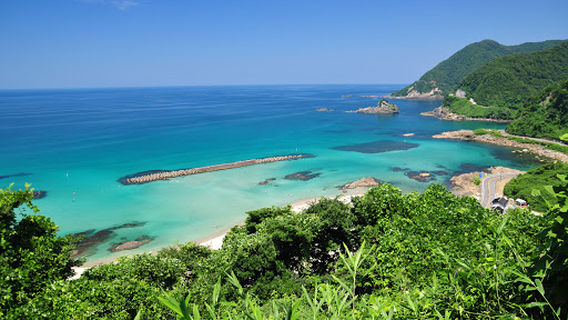 Toyooka