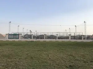 Football grass court