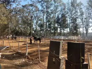 Parque Municipal - Campos Borges