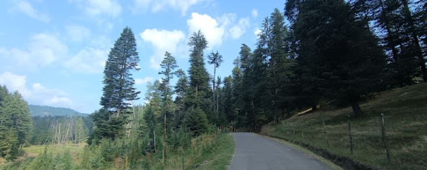 MAIN CHOWK HANDWARA