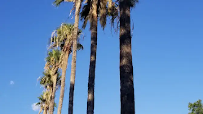 San Felipe Natural Spring Park