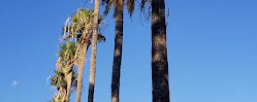 San Felipe Natural Spring Park