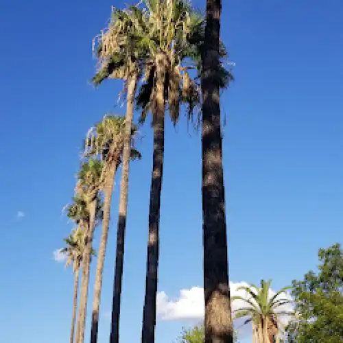 San Felipe Natural Spring Park