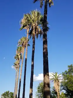 San Felipe Natural Spring Park