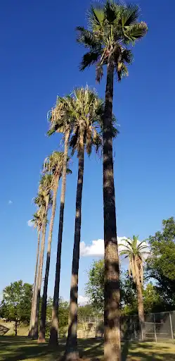 San Felipe Natural Spring Park