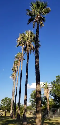 San Felipe Natural Spring Park