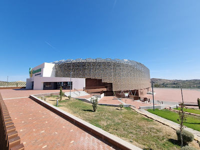 Palacio de Deportes Olivo Arena