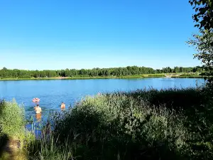 Ryazanskiy Gosudarstvennyy Prirodnyy Zakaznik