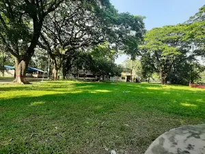 Dinajpur Govt. College Mosque