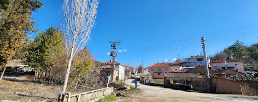 Selim Koyu Mosque