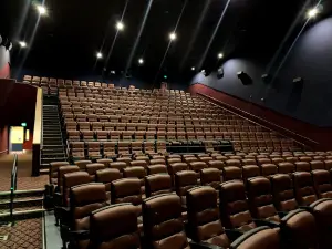 Cinemark Fallen Timbers 14 and XD