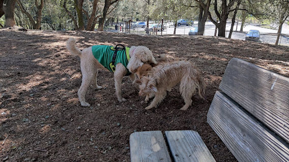 Villa Chanticleer Dog Park