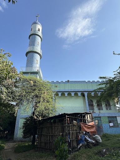 Flüge von Amman nach Arba Minch