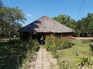 The Farmer House Museum
