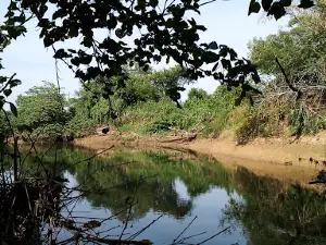 Jembatan Torpong