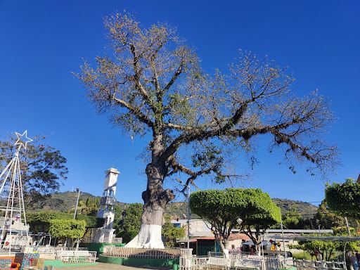 Municipal Park of San Cayetano Istepeque