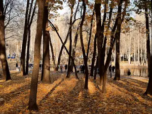 Gorodskoy Park