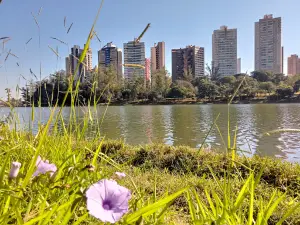Igapó Lake 1