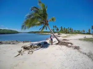 Ponta do Saco