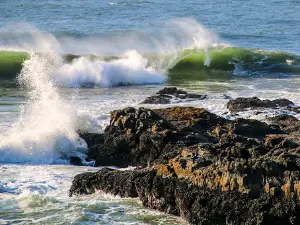 Yachats State Recreation Area