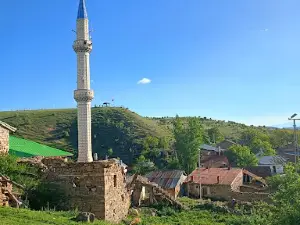 Yunuslar Koyu Muhtarligi